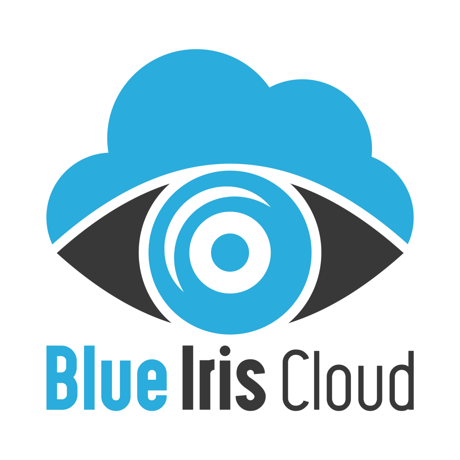 Blue Iris Cloud IP Cam Talk Store