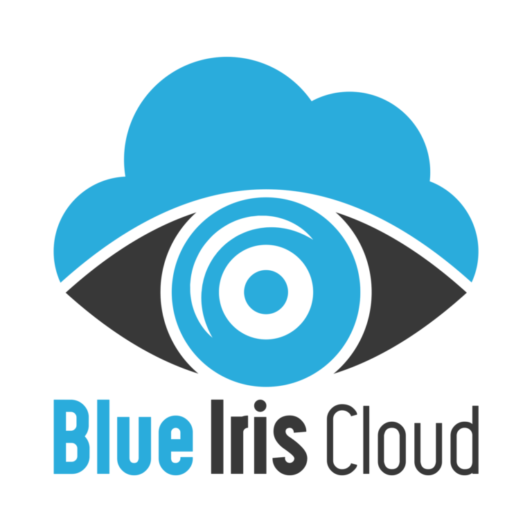 Blue Iris Cloud IP Cam Talk Store